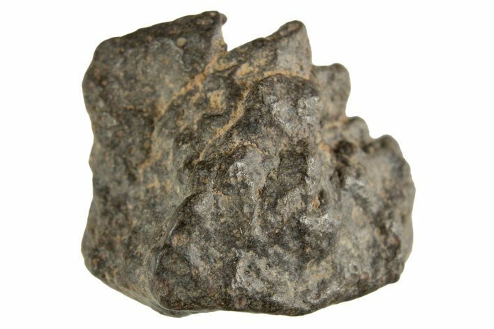 Carbonaceous Chondrite Meteorite ( g) - NWA #313723